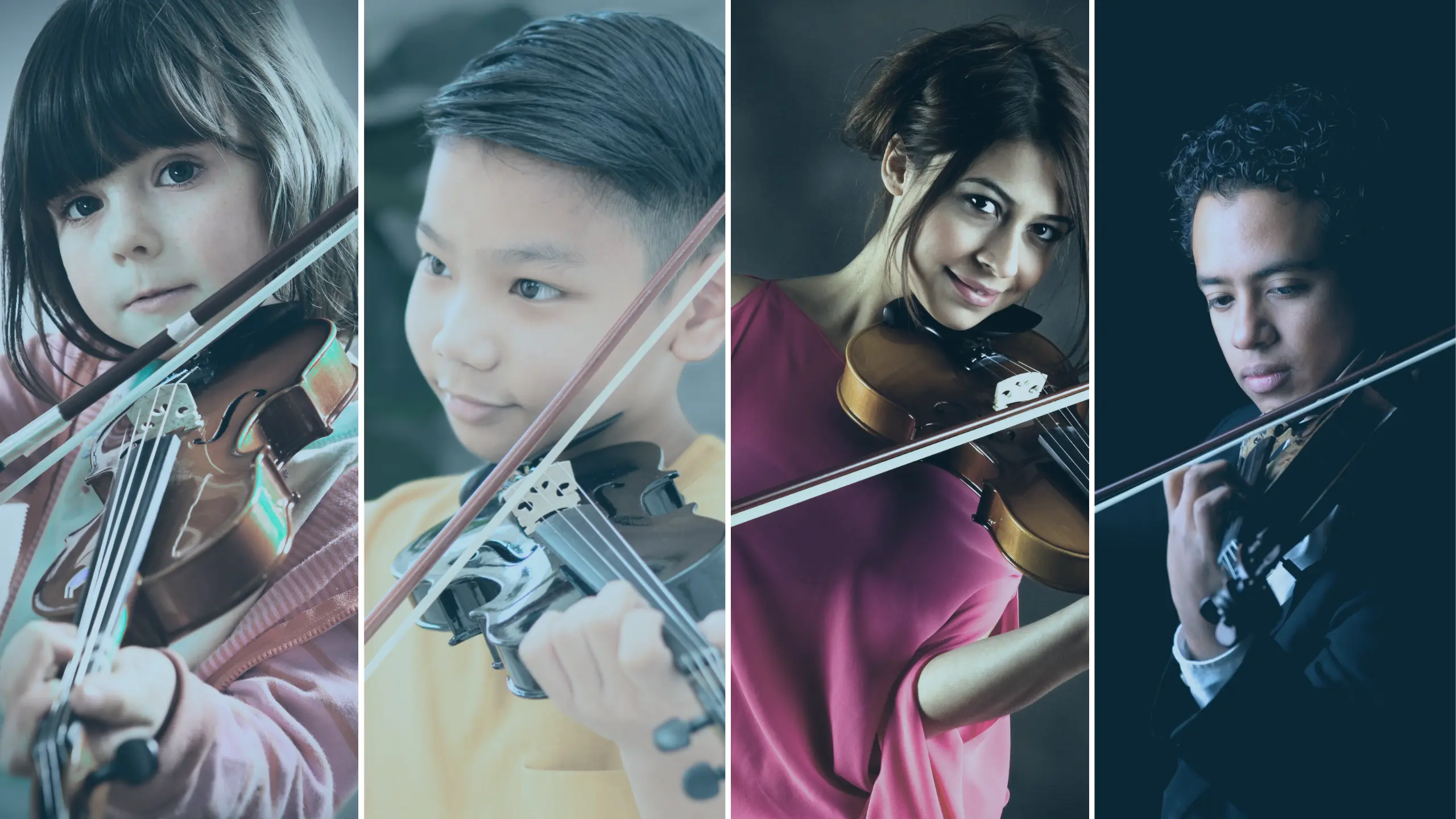Violin lessons in Apex NC